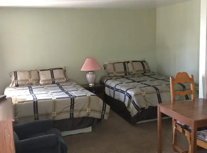 Fountain Of Youth Motel 3*